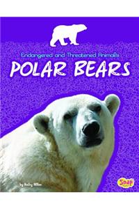 Polar Bears