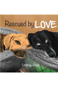 Rescued By Love
