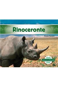 Rinoceronte/ Rhino