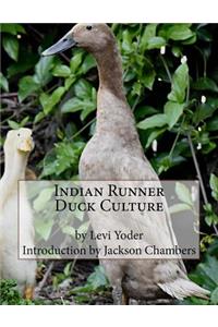 Indian Runner Duck Culture