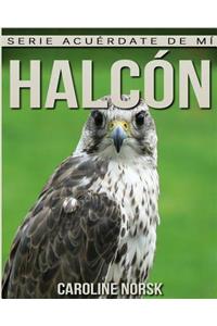 Halcón