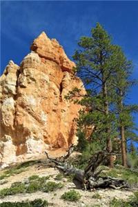 Hiking in Bryce Canyon National Park Utah USA Adventure Journal