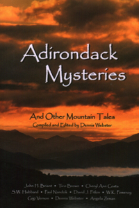 Adirondack Mysteries