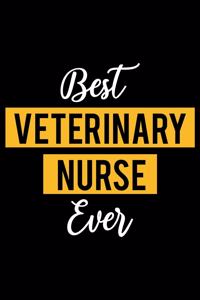 Best Veterinary Nurse Ever