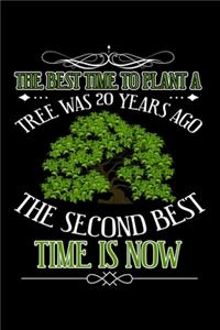 The Best Time To Plant A Tree