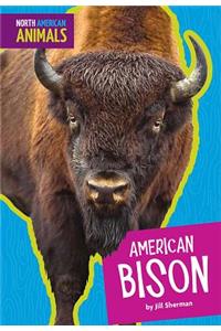 American Bison