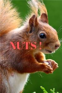 Nuts!