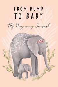 From Bump To Baby My Pregnancy Journal