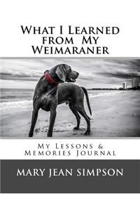 What I Learned from My Weimaraner