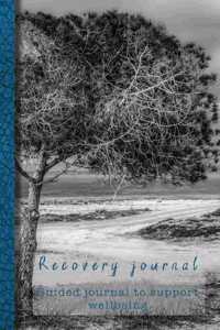 Recovery Journal