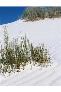 Desert Dune Sand Beach Ocean Sea Notebook Journal