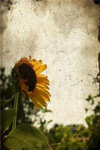 Journal