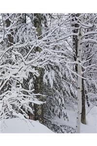 Winter School Composition Book Beautiful Forest 130 Pages