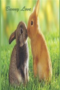 Bunny Love