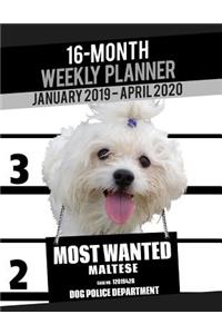 2019-2020 Weekly Planner - Most Wanted Maltese