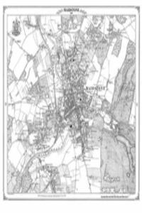 Maidstone 1865 Heritage Cartography Victorian Town Map