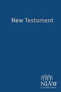 NIRV ACCESSIBLE EDITION NEW TESTAME