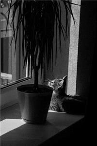 Gray Kitten in Black and White Journal