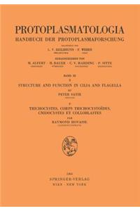 Structure and Function in Cilia and Flagella / Trichocystes, Corps Trichocystoïdes, Cnidocystes Et Colloblastes