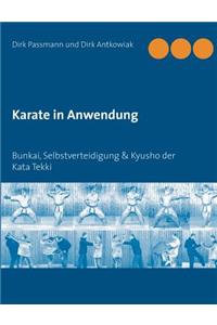Karate in Anwendung