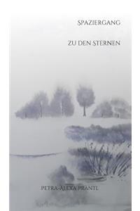 Spaziergang zu den Sternen