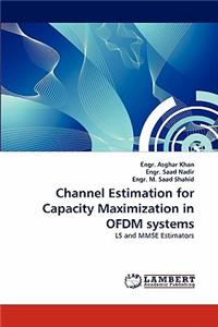 Channel Estimation for Capacity Maximization in OFDM systems