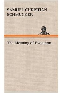 The Meaning of Evolution