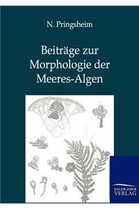 Beiträge zur Morphologie der Meeres-Algen