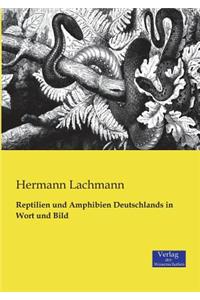 Reptilien und Amphibien Deutschlands in Wort und Bild