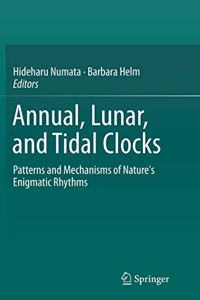 Annual, Lunar, and Tidal Clocks