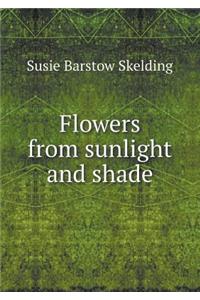 Flowers from Sunlight and Shade