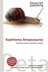 Raphitoma Atropurpurea