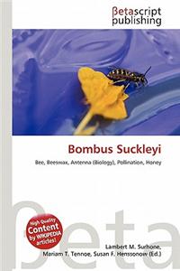 Bombus Suckleyi