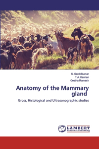 Anatomy of the Mammary gland