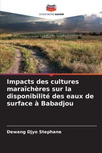 Impacts des cultures maraîchères sur la disponibilité des eaux de surface à Babadjou