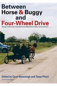 Between Horse and Buggy and Four-Wheel Drive