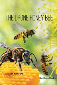 Drone Honey Bee