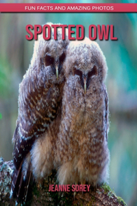 Spotted Owl
