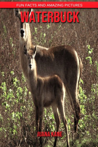 Waterbuck