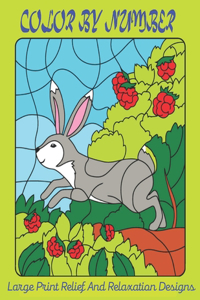 Color By Number Large Print Relief And Relaxation Designs