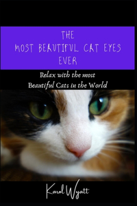 The Most Beautiful Cat Eyes Ever
