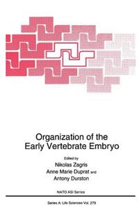 Organization of the Early Vertebrate Embryo