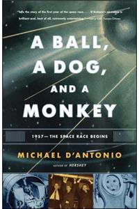 Ball, a Dog, and a Monkey