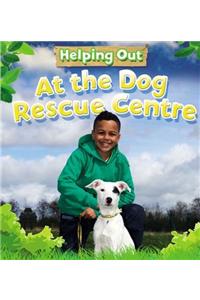 Helping Out: At the Dog Rescue Centre