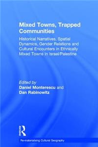 Mixed Towns, Trapped Communities