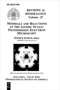 Minerals and Reactions at the Atomic Scale