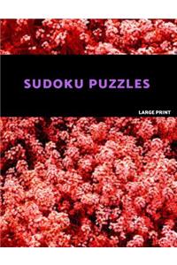 Sudoku Puzzles Large Print