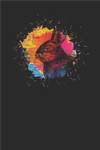 Rabbit Splash