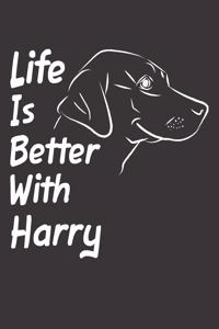 Life Is Better With Harry