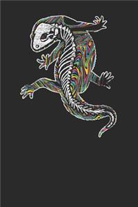Gecko Skeleton